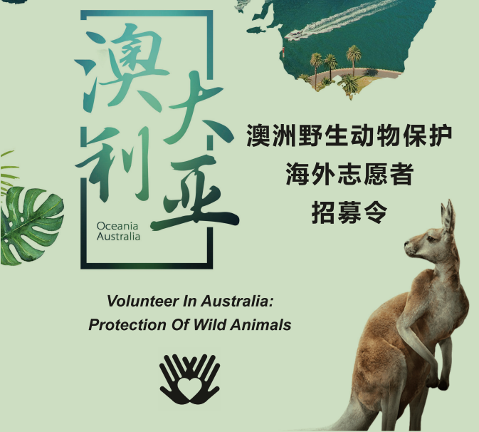 【海外志愿者】2019澳大利亚野生动物保护冬季志愿者招募令